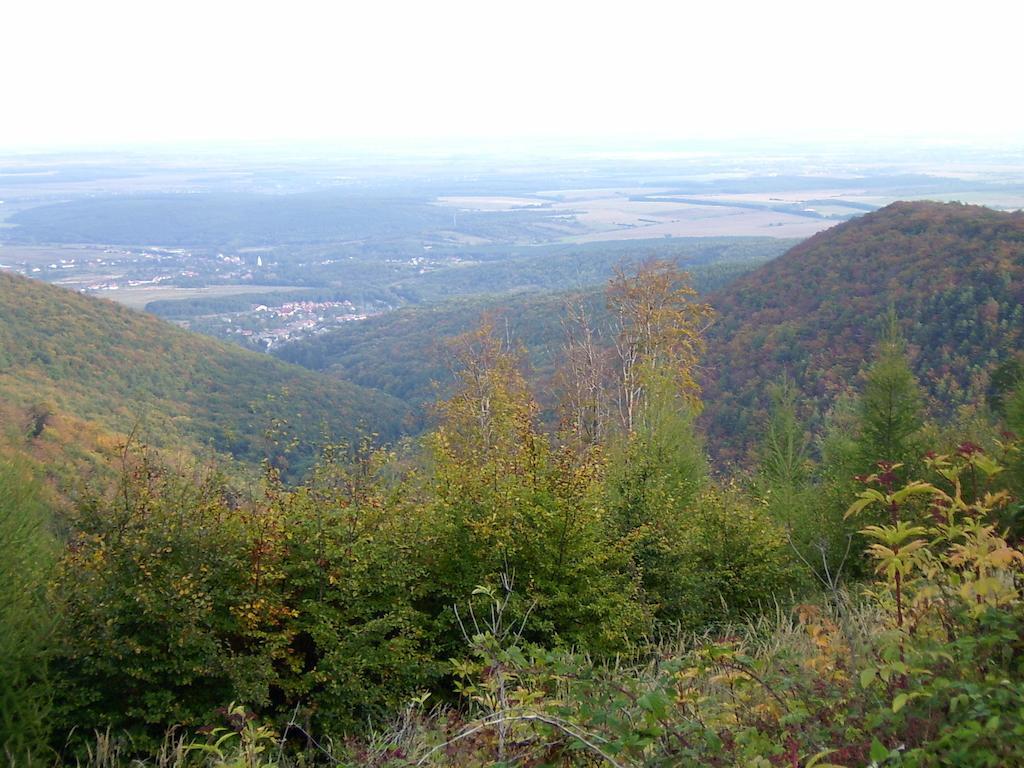 Gereben